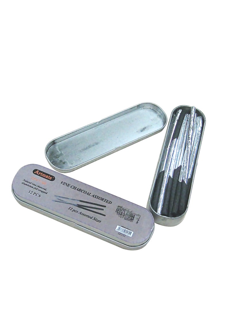 آرتمايت مجموعة رسم بقلم الفحم CFVT-12