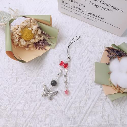 cioatu Homvog 14PCS Cute Phone Charms Aesthetic Y2K Cell Phone Charms Strap Strawberry Butterfly Star PhoneCharm Y2K Accessories for Bag Keychain Airpods Camera Pendants Decor 1x Butterfly Pendant - Image 3