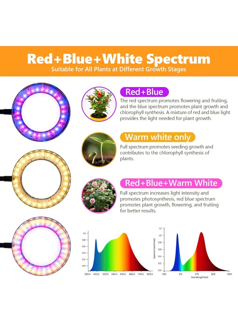 YelaJoy Desk Top Grow Lights for Indoor Plants,Full Spectrum Table Plant Light,24.2" Telescope Stand,UV LED Red Blue Halo Growing Lamp,Adjustable Gooseneck,Auto Timer,3 Lighting Modes,10-Level Dimmable - Image 2
