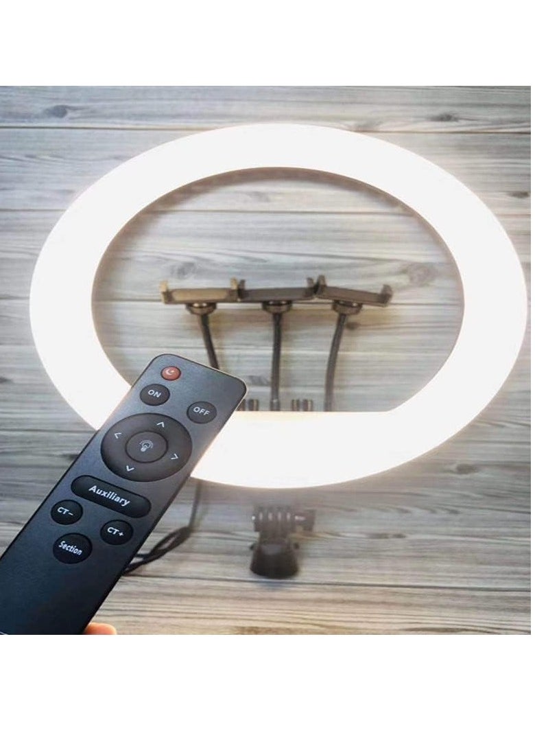 حلقة إضاءة 21 بوصة مع حامل ثلاثي القوائم للموبايل أو الكاميرا – موديل RL-21 LED