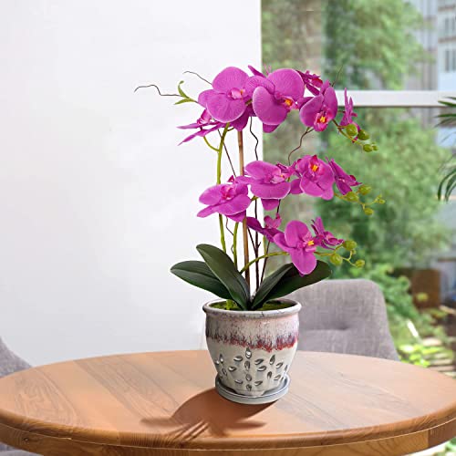 Beitewei 7inch Orchid Pots with Holes Round Ceramic Flower Container Succulent Plant Planter Butterfly Pot Saucer Windowsill Contemporary Home Decoration (Orange Over Cream) - Image 3