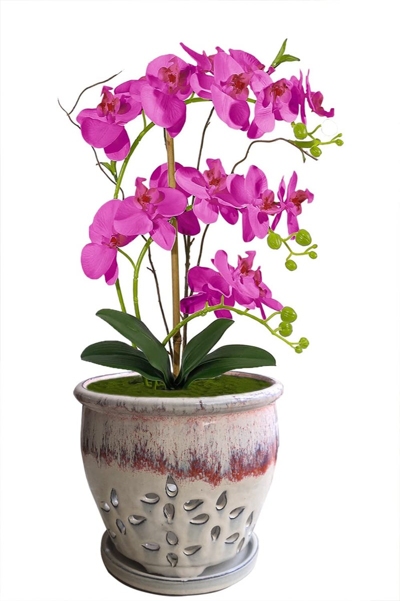Beitewei 7inch Orchid Pots with Holes Round Ceramic Flower Container Succulent Plant Planter Butterfly Pot Saucer Windowsill Contemporary Home Decoration (Orange Over Cream) - Image 4