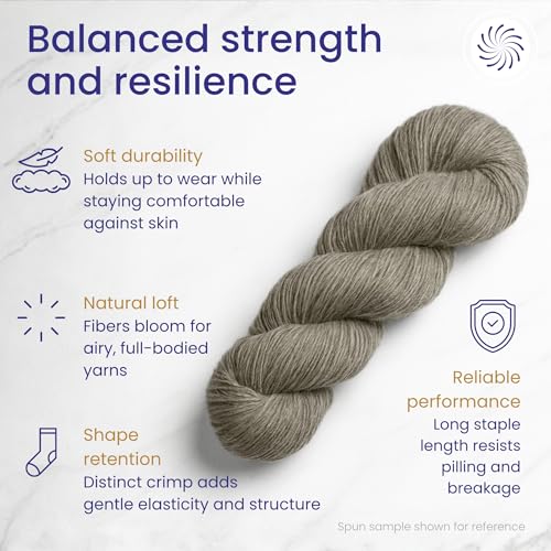 Revolution Fibers Corriedale Wool Roving 1 lb (16 Ounces) for Spinning | Soft Chunky Jumbo Yarn for Arm Knitting Blanket |100% Natural Undyed Wool Yarn Bulk, Felting Core, Carded Stuffing (Gray) - Image 4