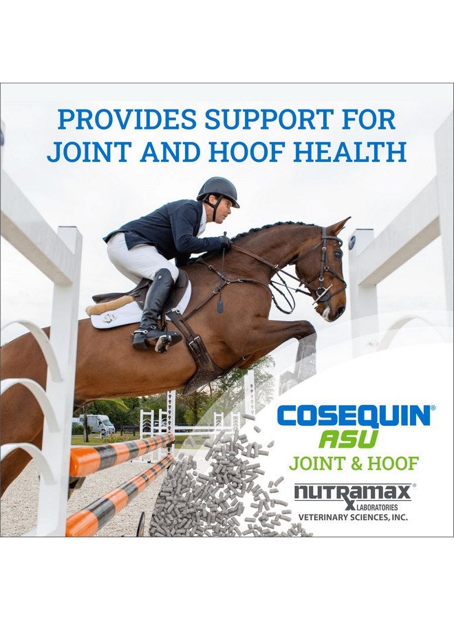 نيوتراماكس لابراتوريز حبيبات Cosequin ASU Joint & Hoof Pellets من Nutramax Laboratories مكمل غذائي لصحة المفاصل للخيول - حبيبات تحتوي على الجلوكوزامين والكوندرويتين والميثيل سلفونيل ميثان والبيوتين، 1200 جرام - Image 3