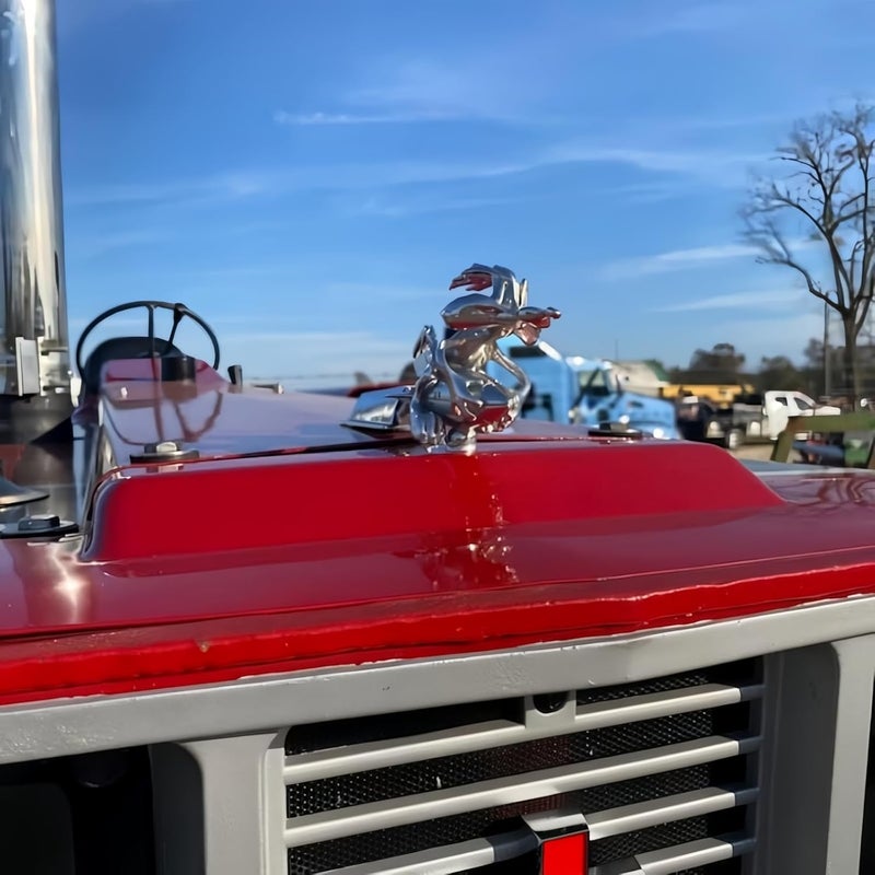 BEMKWG Coyote Rocket Hood Ornament - Image 4