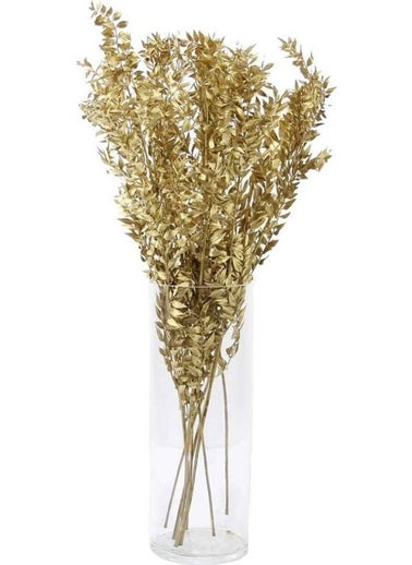 CICI Dried Flower Dried Ruscus Gold  - Image 1