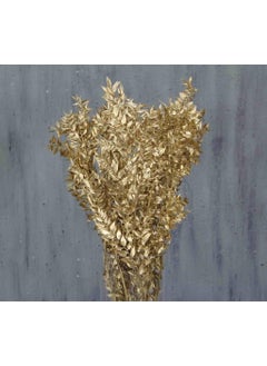 CICI Dried Flower Dried Ruscus Gold  - Image 4