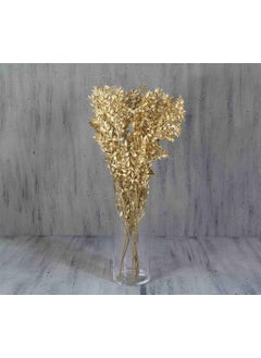 CICI Dried Flower Dried Ruscus Gold  - Image 3