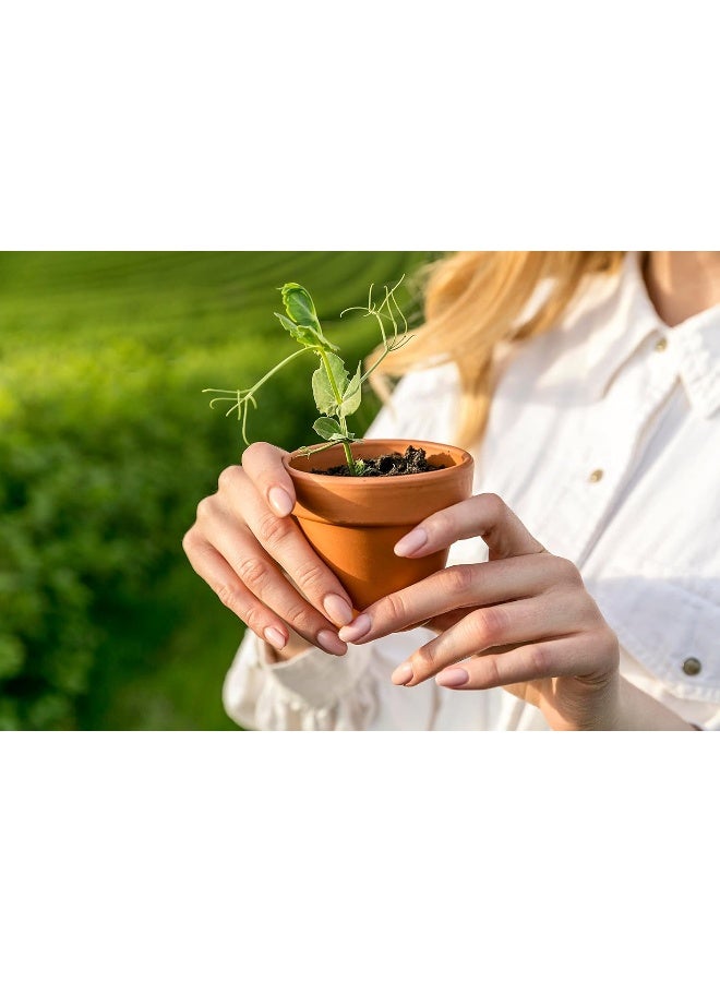 Gulf Perlite بيرلايت الخليج حبيبي عالي المسامية للزراعة في الأواني والنباتات في الحدائق - Image 5