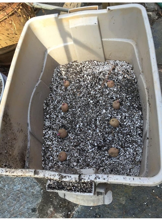 Gulf Perlite بيرلايت الخليج حبيبي عالي المسامية للزراعة في الأواني والنباتات في الحدائق - Image 3