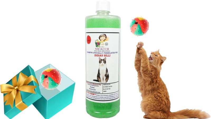 swacch Indian Billi Shampoo + Rubber Musical Ball I Chew Playing Rubber Ball I Interactive Cat Toy Balls I Training & Play I Combo Pack I 1 Litre Neem Alovera - Image 1