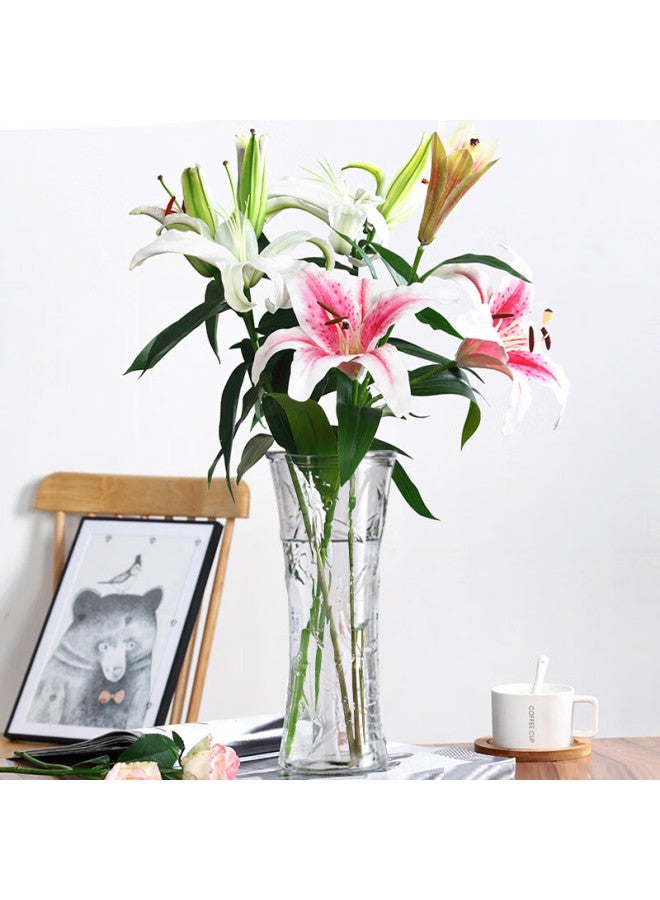 Extreme Space Jidukongjian Glass Vase, Living Room Decoration, Desktop Ornament, Water Cultivation Flower Arrangement, Transparent Lucky Bamboo, Large Round-necked Vase - Image 5