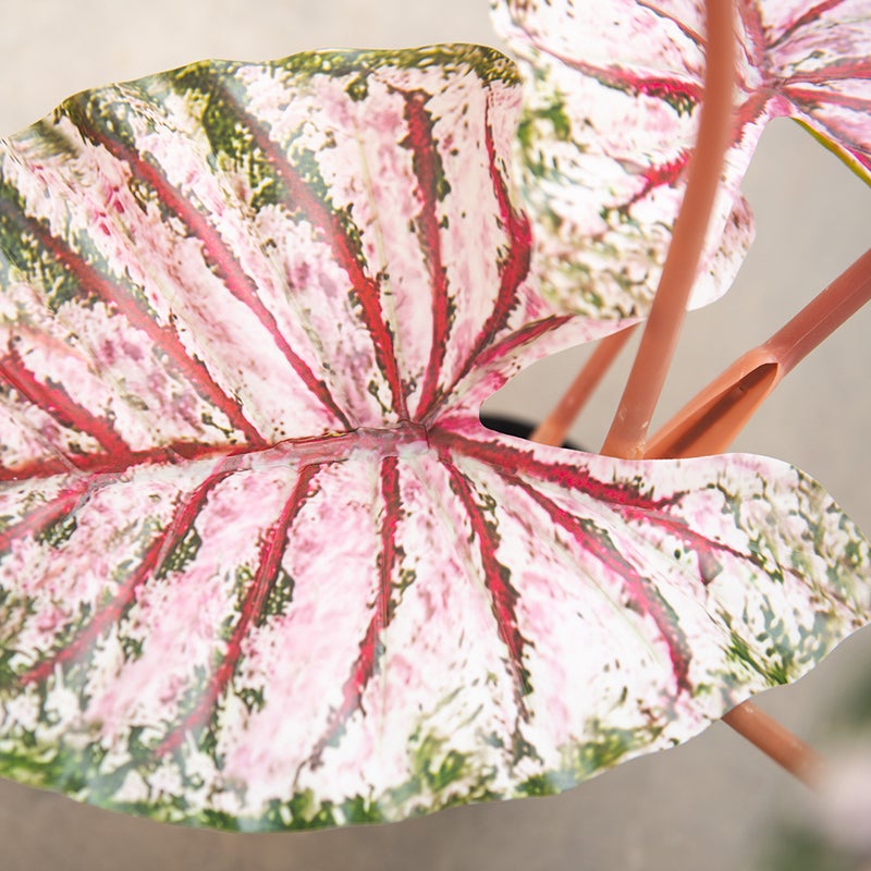 Sharpdo 110cm Artificial Plant, Colored Taro, 5 Leaves, Suitable for Office/Shopping Mall/Indoor/Outdoor Use - Image 5