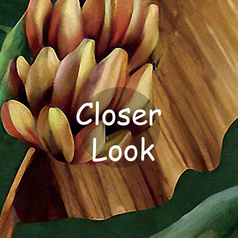 BPA Tropical Banana Leaf Wallpaper Mural - Image 3