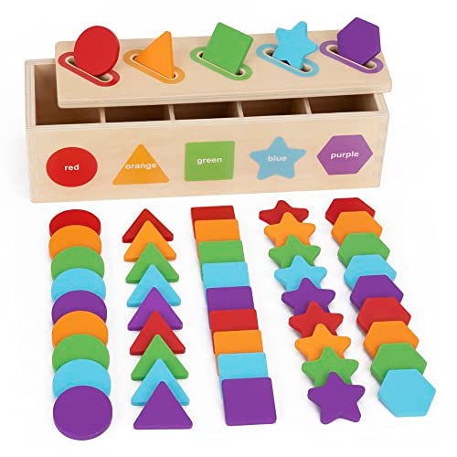 KMTJT Montessori Toys for 1 2 3 Year Old Wooden Color Shape Sorting Matching Toys Learning Educational Toys for 13 Year Old Kids One 1st 2st Birthday Gift for Boy Girl - Image 1