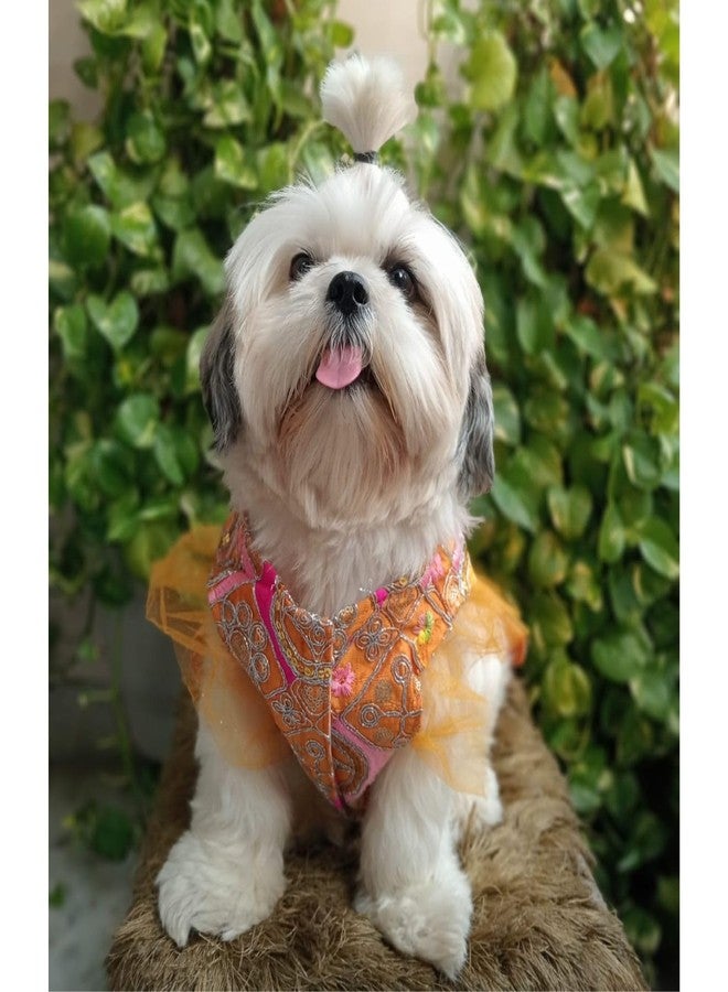 Lulala Traditional Ethnic Dog Dress with Dori - Festive Lehenga Choli Outfit for Female Dogs - Wedding, Party, Diwali Pet Costume (Orange- 14Inch) - Image 2