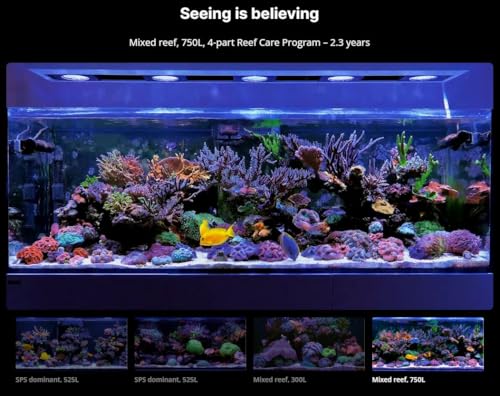 Red Sea Large (160 Gallon) 4-Part RCP Complete Reef Care Supplement Dosing System for Saltwater Mixed Reef Marine Aquariums for Optimal Coral Growth - Image 2