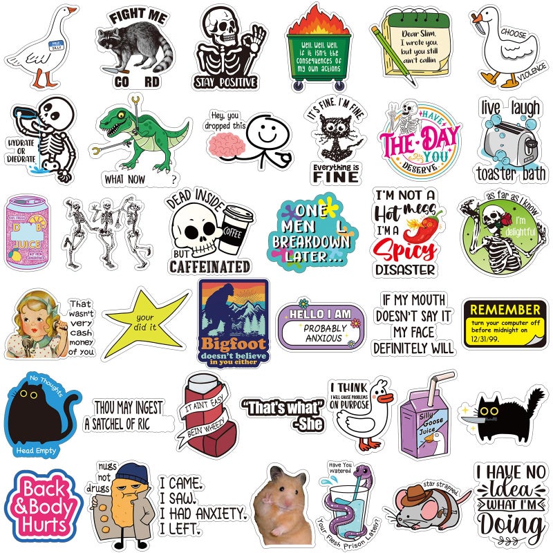 Chivertion 400 Pcs Funny Stickers for Adults Waterproof Vinyl Sarcastic Stickers Meme Decals for Water Bottles, Laptop, Phone, Hard Hats, Journal, Scrapbook - Image 1