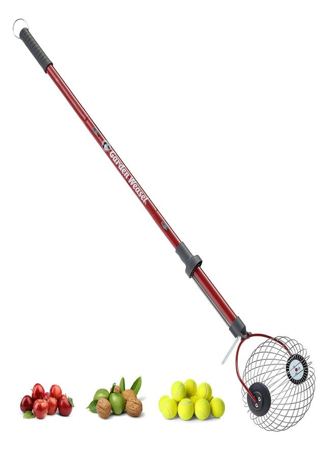 Garden Weasel GARDEN Large Nut Gatherer Roller - Nut Collector Tool for Walnuts, Sweet Gum Balls, Tennis Balls and More - Yard Picker Upper with Durable Cage and Ergonomic Handle - Newest Model - Image 1