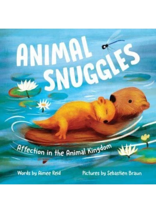 Animal Snuggles Affection in the Animal Kingdom - Hardback