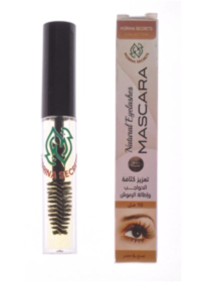 Morina Secrets - Mascara to enhance eyebrow density and lengthen eyelashes 10 ml. - Image 1