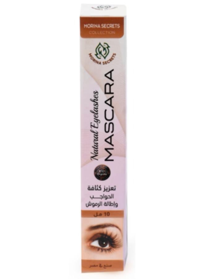 مورينا سيكرتس ماسكرا تعزيز كثافة الحواجب واطالة الرموش 10ملي . - Image 2