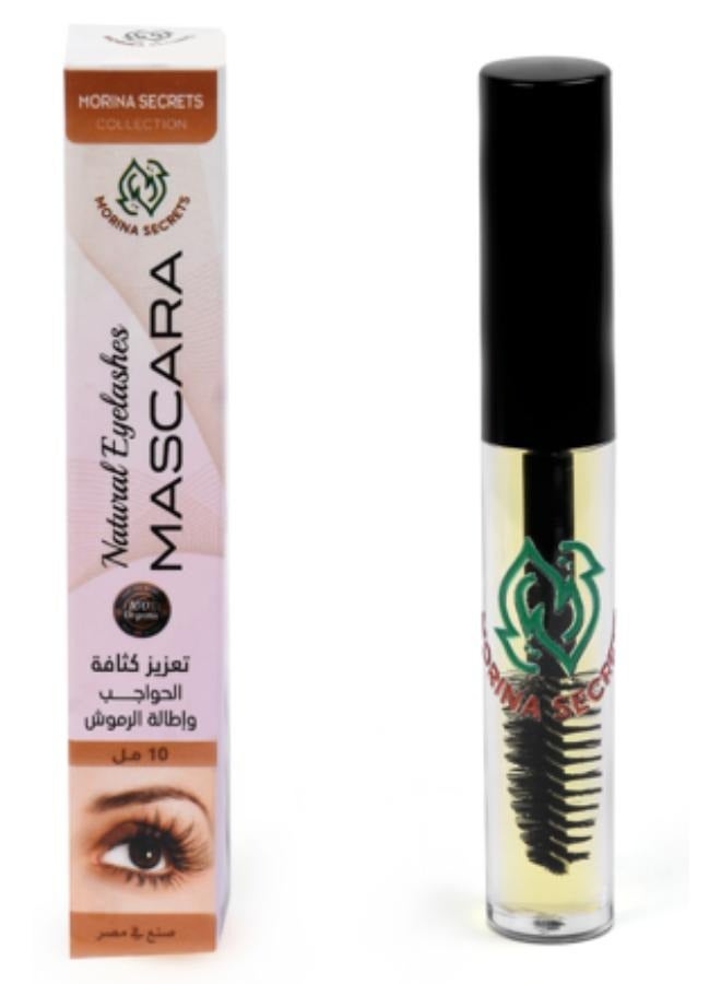 مورينا سيكرتس ماسكرا تعزيز كثافة الحواجب واطالة الرموش 10ملي . - Image 1