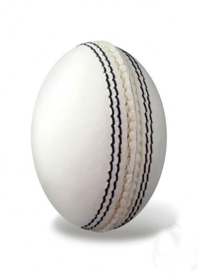 RAISCO Bw01 Leather Cricket Ball, Size Club, (White) - Image 1