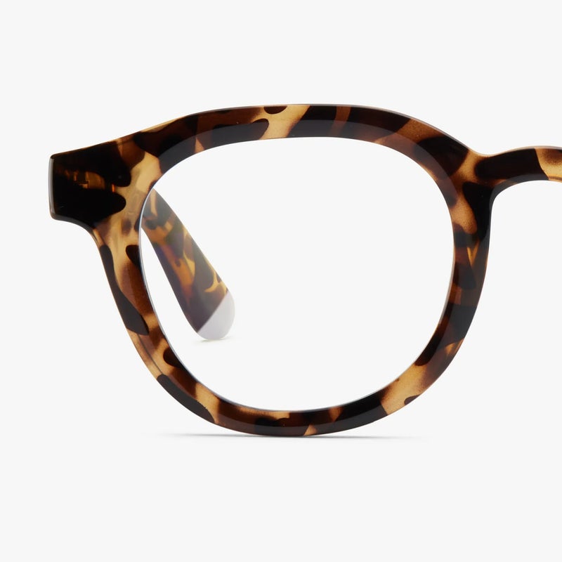 BARNER Andy Tortoise - Round Glasses - Image 4
