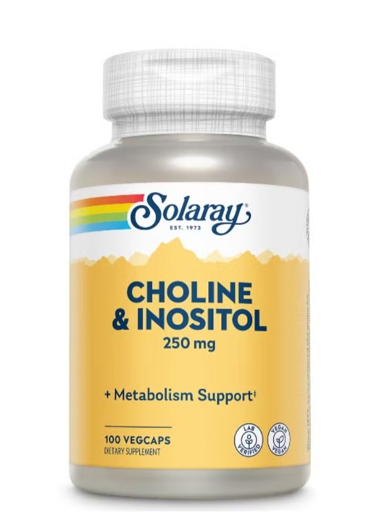 لكولين والإينوزيتول ٢٥٠ ملغ، ١٠٠ كبسولة نباتية - يدعم صحة الدماغ والجهاز العصبي - Image 1