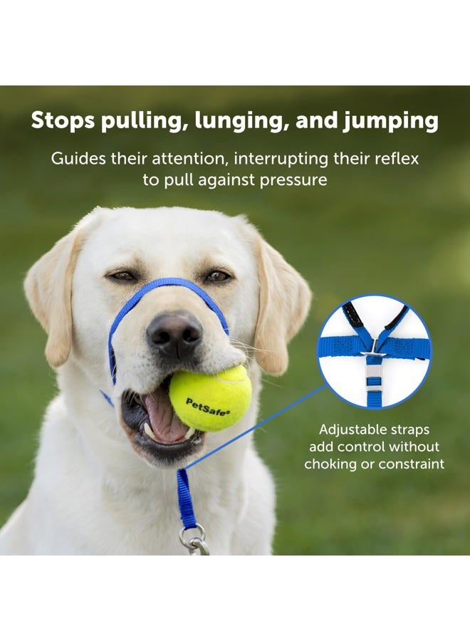 PetSafe Gentle Leader No-Pull Dog Headcollar - The Ultimate Solution to Pulling - Redirects Your Dog's Pulling for Easier Walks - Helps You Regain Control - Small, Red - Image 3