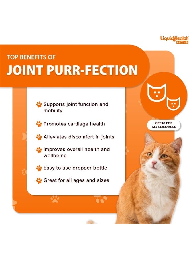 LIQUIDHEALTH 2.3 Oz Liquid Cat Glucosamine Joint Purr-Fection - Hip and Joint Health Relief Support, Chondroitin Feline Droppers -Senior Older Cats, Kittens - (3 Pack)  - Image 3