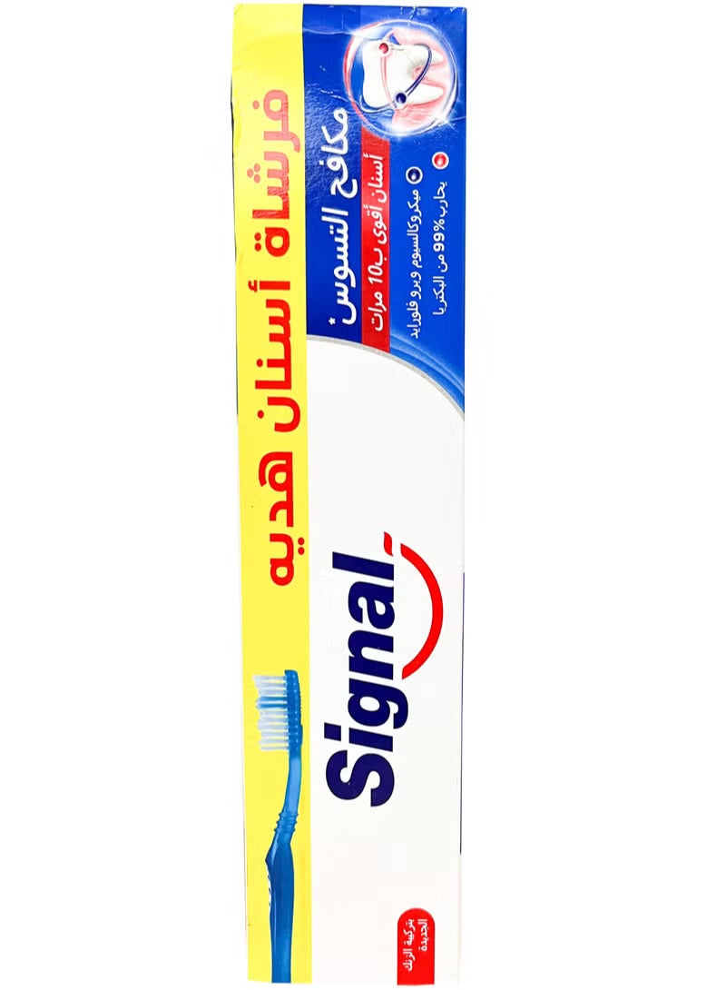Signal Toothpaste 120 Ml + Toothbrush Free