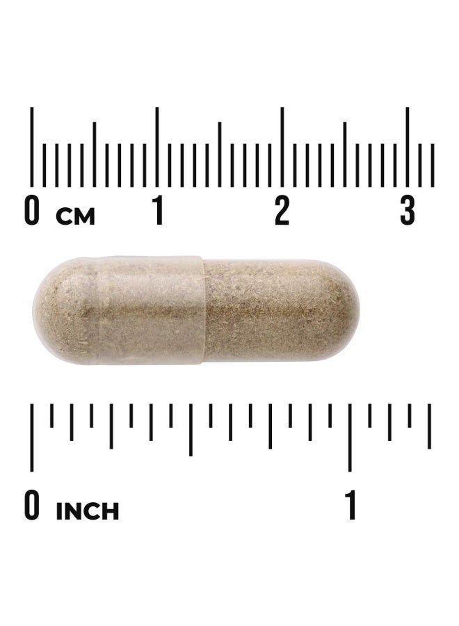 SWANSON Full Spectrum® Chanca Piedra, 500 mg, 60 Veggie Capsules - Image 2