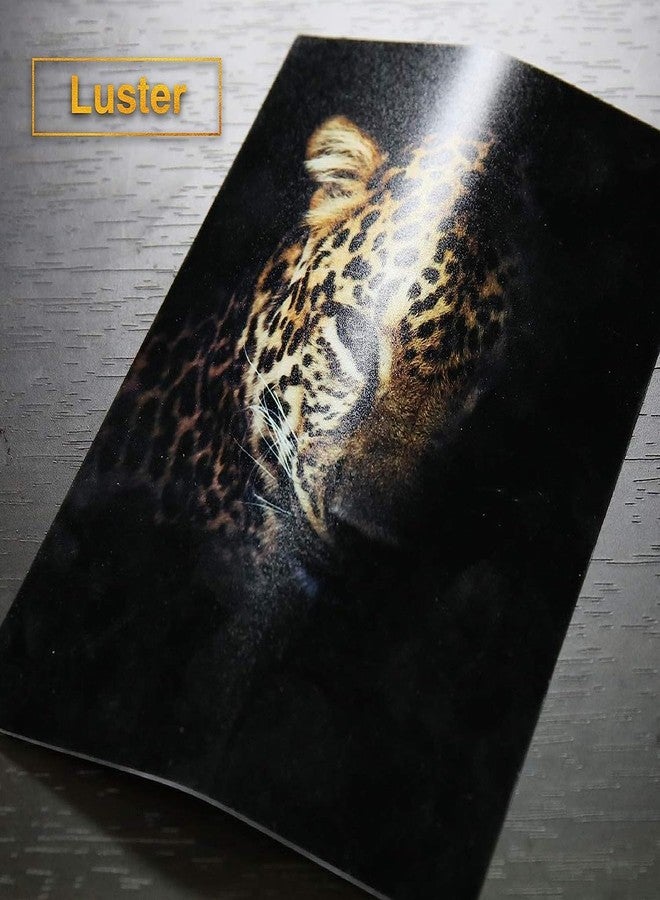 BIGFALCON ورق صور BIGFALCON Premium 230 GSM مقاس 4R (4×6 بوصة) غير لامع مطلي براتنج RC مقاوم للماء، مناسب لجميع طابعات نفث الحبر، 50 ورقة - Image 5