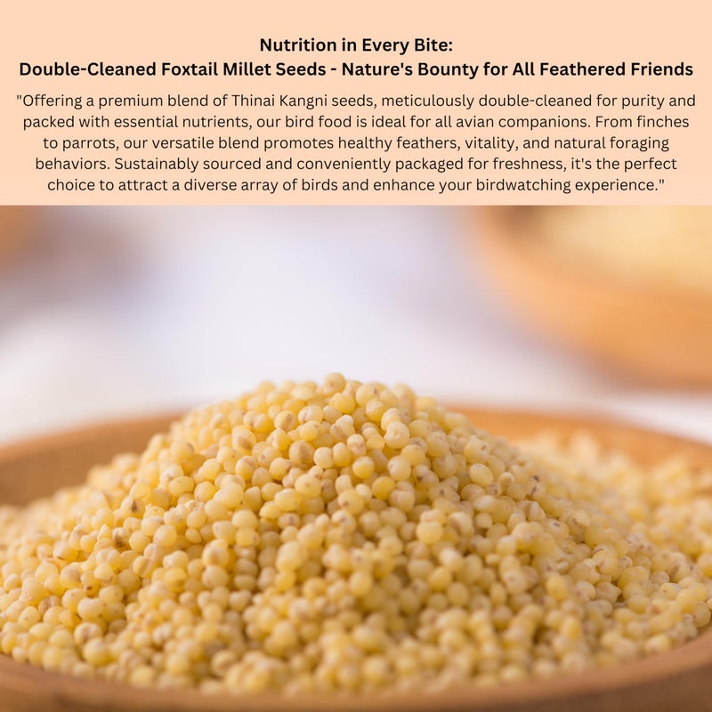 MASHKI Thinai Kangni Seed Double Cleaned Korra, Rala, Thina, Kang, Kaon Seeds Foxtail Millet koni dhaan, navane Nutrition Bird Food for All Birds (3),All Life Stages - Image 5