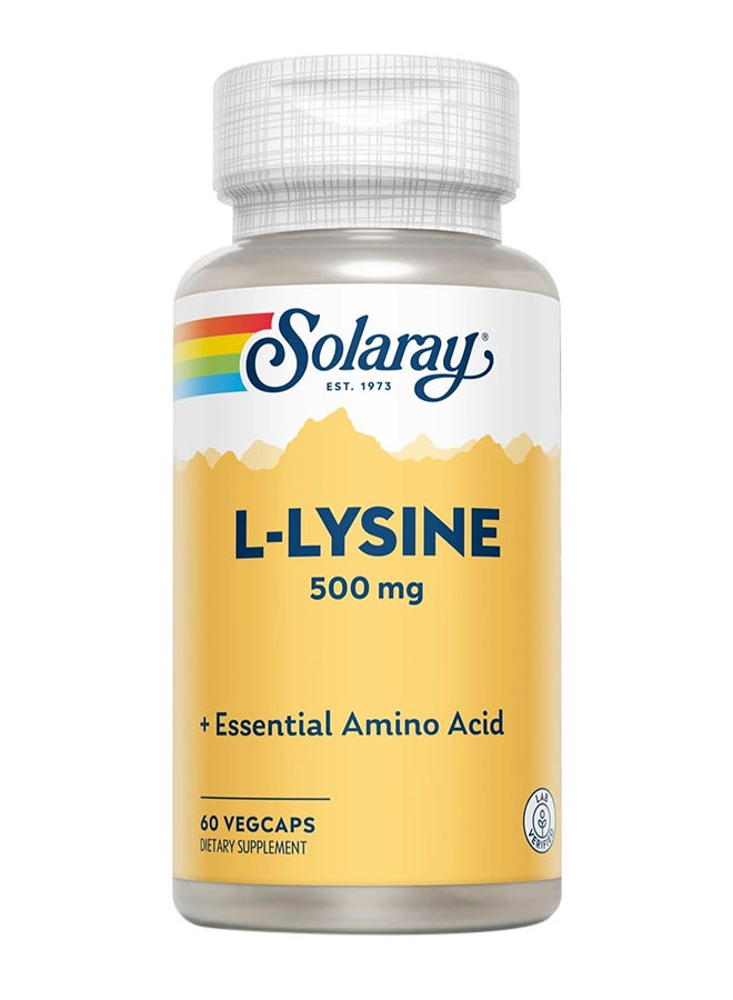 SOLARAY L Lysine Powerful Wellness Support with L-Lysine Amino Acid 60 caps - Image 1