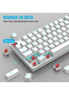Rock Pow 75% Gaming Keyboard Arabic English 87 Keys Mechanical Keyboard with RGB Backlit 19 Modes Wired Mini Keyboard PBT Keycaps for PC Gaming and Working (Red Switch)  - Image 2