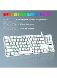 Rock Pow 75% Gaming Keyboard Arabic English 87 Keys Mechanical Keyboard with RGB Backlit 19 Modes Wired Mini Keyboard PBT Keycaps for PC Gaming and Working (Red Switch)  - Image 3