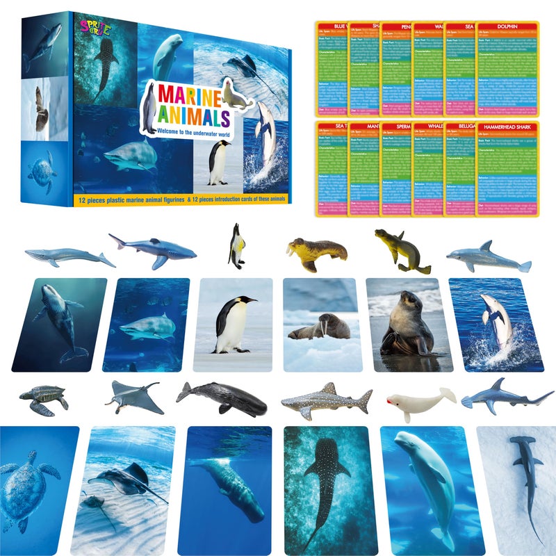 SpriteGru 12 PCS Plastic Marine Animal Figurines with 12 Introduction Flashcards, Ocean Animals Learning Recognition Cards Realistic Undersea Animal Figures Educational Learning Toy Set for Kids, Classroom - Image 1