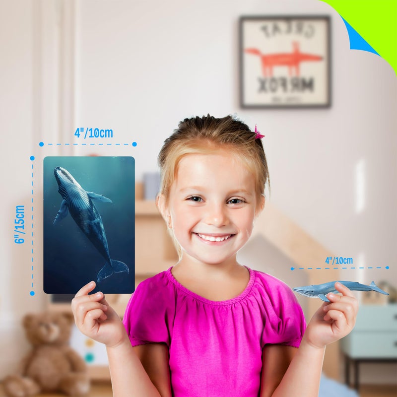 SpriteGru 12 PCS Plastic Marine Animal Figurines with 12 Introduction Flashcards, Ocean Animals Learning Recognition Cards Realistic Undersea Animal Figures Educational Learning Toy Set for Kids, Classroom - Image 3
