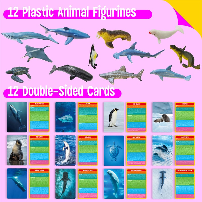 SpriteGru 12 PCS Plastic Marine Animal Figurines with 12 Introduction Flashcards, Ocean Animals Learning Recognition Cards Realistic Undersea Animal Figures Educational Learning Toy Set for Kids, Classroom - Image 2