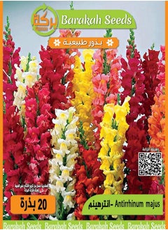Generic High germination flower seeds -Antherinum flower 