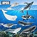 THINKBAY 8PCS Whale Figurines Toys for Toddlers Realistic Ocean Animals Figures Sea Creatures Toys for Kids Includes Beluga Orca Blue Whale Birthday Party Favors Gifts for Boy Girl - Image 4