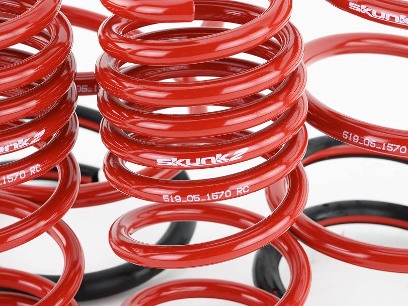 Skunk2 Racing 519-05-1570 Lowering Spring for 2001-2005 Honda Civic - Image 5