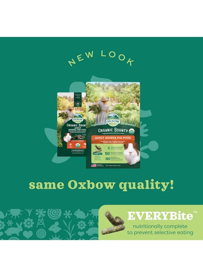 Oxbow Organic Bounty Guinea Pig Food, Adult Guinea Pig, Made with Oxbow Timothy Hay, USDA Organic Pet Food Pellets with Vitamin C, Small Animal Pet Products, Made in USA, High Fiber, 3 lb. bag - Image 4