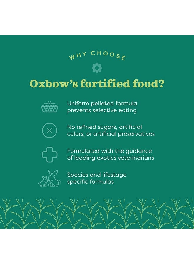 Oxbow Organic Bounty Guinea Pig Food, Adult Guinea Pig, Made with Oxbow Timothy Hay, USDA Organic Pet Food Pellets with Vitamin C, Small Animal Pet Products, Made in USA, High Fiber, 3 lb. bag - Image 1