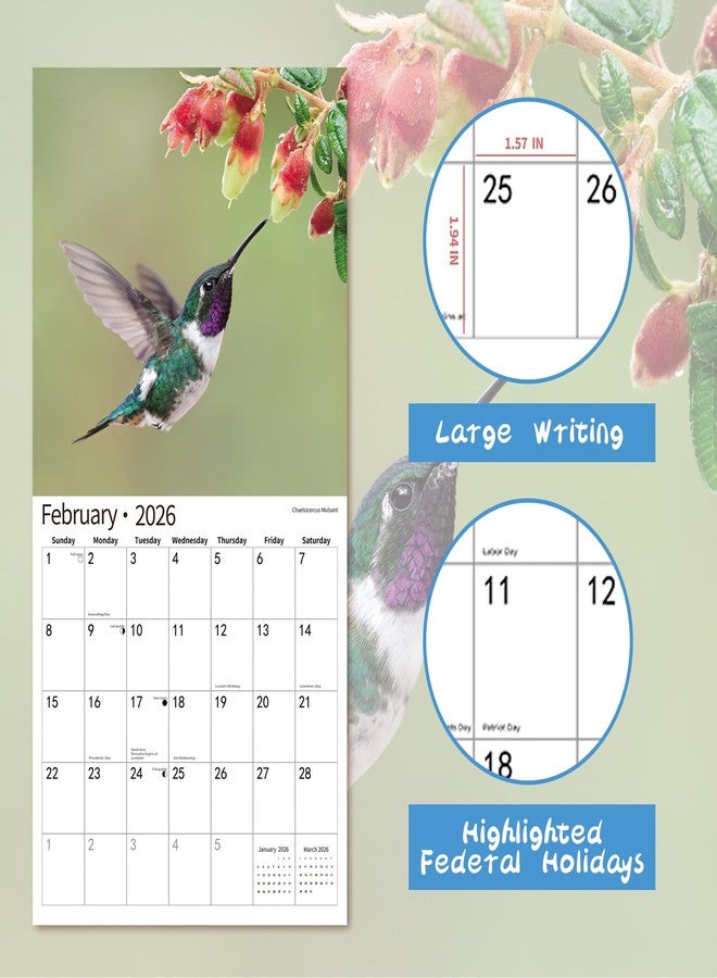 windrio 2026 Wall Calendar,Calendar 2026, November 2025 - December 2026, Wall Calendar Hummingbird, 12" x 24" Opened,Full Page Months Thick & Sturdy Paper for Calendar Organizing & Planning - Image 3