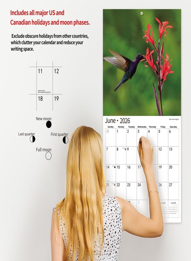 windrio 2026 Wall Calendar,Calendar 2026, November 2025 - December 2026, Wall Calendar Hummingbird, 12" x 24" Opened,Full Page Months Thick & Sturdy Paper for Calendar Organizing & Planning - Image 5