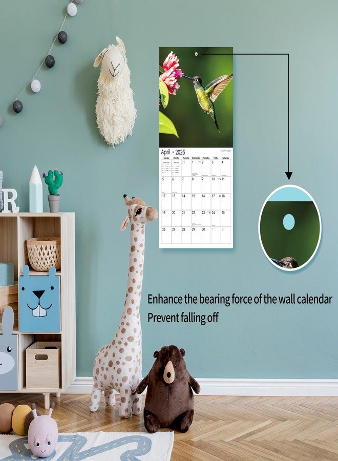 windrio 2026 Wall Calendar,Calendar 2026, November 2025 - December 2026, Wall Calendar Hummingbird, 12" x 24" Opened,Full Page Months Thick & Sturdy Paper for Calendar Organizing & Planning - Image 4